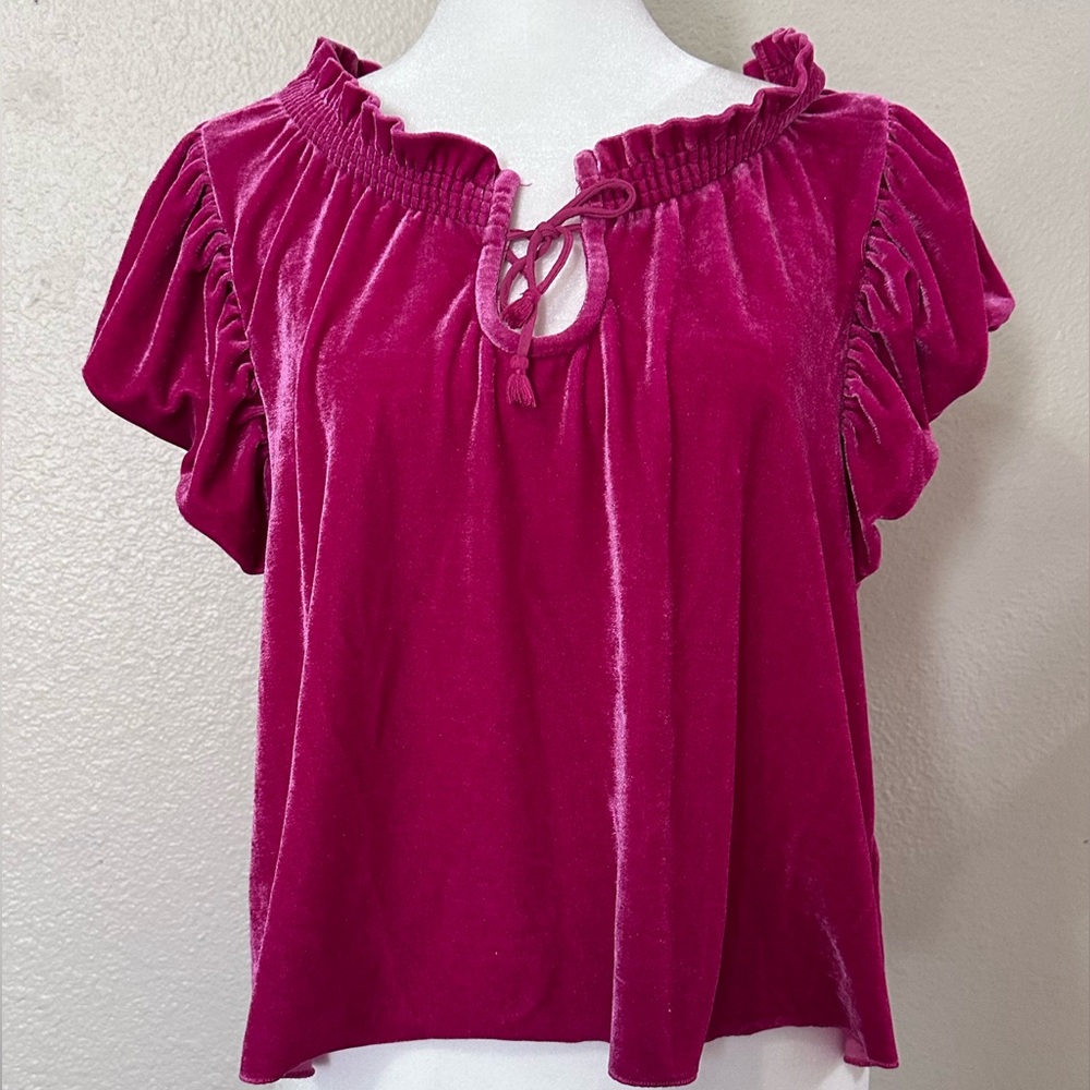 Free people Terese velour blouse Tie Neck Top Small